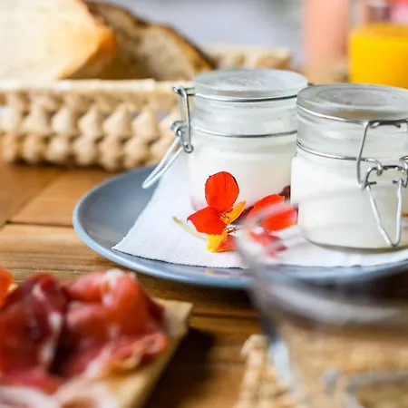 Bed & Breakfast Mas Camins (adults Only) Avinyonet de Puigventos